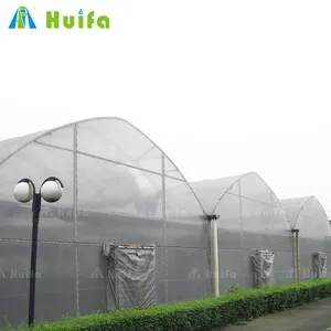 중국 공장 직접 판매 온실 다경간 대형 터널 온실 농업에 사용 토마토 딸기 재배
