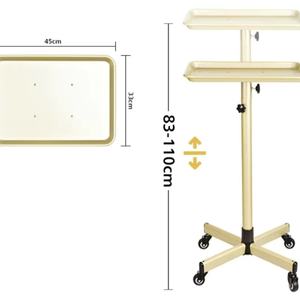 Chariot de salon de coiffure, chariot de travail pour salon de coiffure, support de chariot, mobilier de salon doré, cuisine mobile, articles modernes - Product Image 2