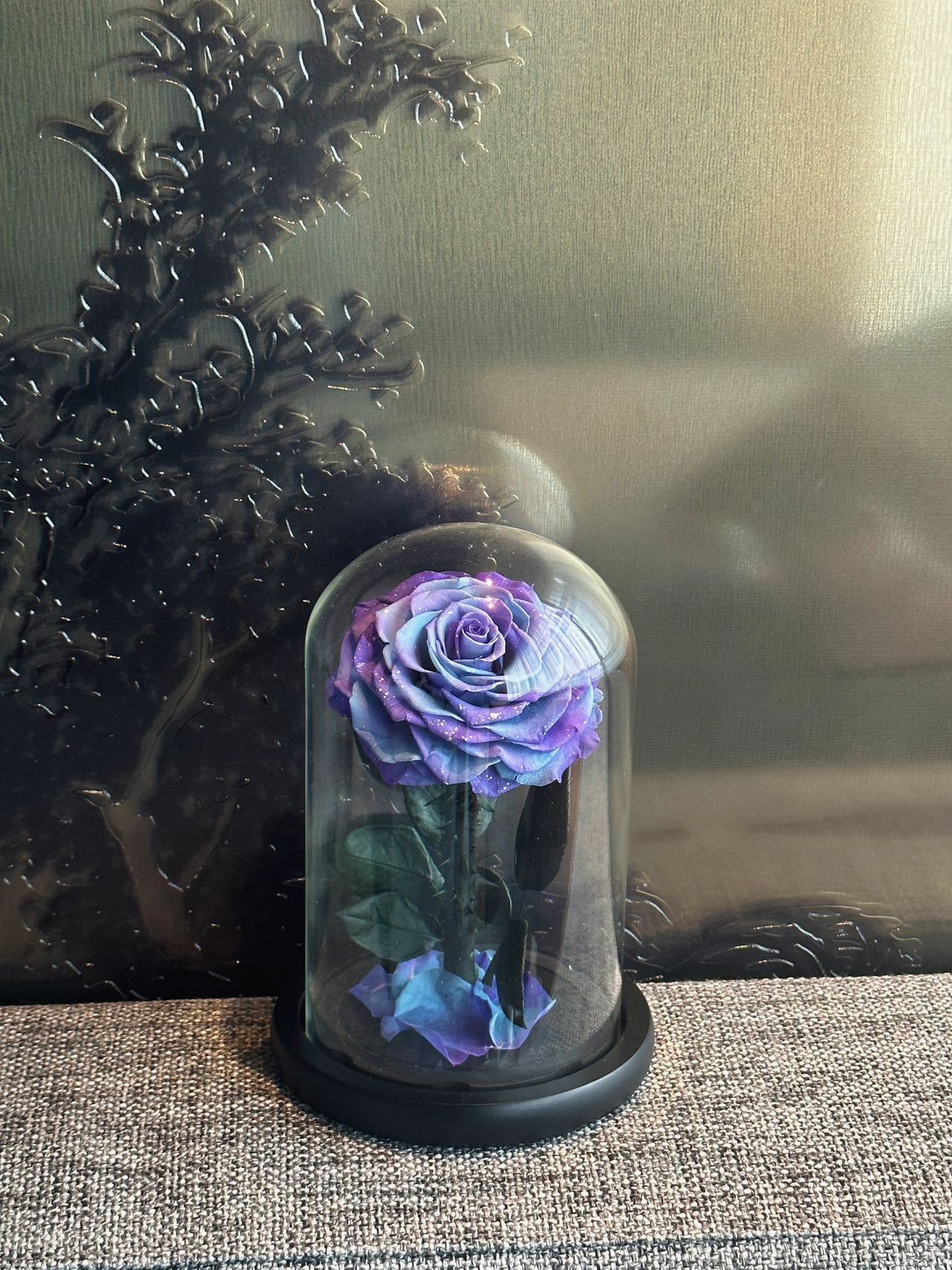 Round head little prince 1520cm-galaxy rose series