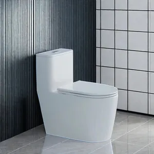 Ovs Royal mangkuk rumah baskom Bidet kamar mandi perlengkapan sanitasi Toilet Wc Toilet keramik pemasok satu bagian Toilet