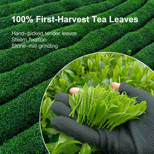 Poudre de Thé Vert Matcha Cérémonial de Marque Privée AMULYN Poudre de Matcha Japonais Pur - Product Image 4