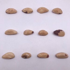 2182 <span class=keywords><strong>Ba</strong></span> Xi Guo Ren Nueces de Brasil Naturales Crudas Sin Cáscara Mix de Nueces Tostadas Comestibles - Product Image 3
