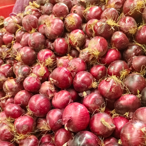 Oferta Especial: Cebolla Roja Fresca, Cebolla Amarilla, Cebolla Blanca, Bawang Merah, Bawang <span class=keywords><strong>Bombay</strong></span>, Venta al por Mayor, Exportación <span class=keywords><strong>de</strong></span> China con Calidad Premium - Product Image 6
