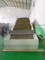 Doorlopende Gaasband Transportdroger Voor Fruit En Groenten Muntblad Algen Voedergras Bagasse Droger