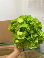 Prix Abordable – 5 Têtes d'Hortensias Artificiels de 45 cm – Hortensias Bulgares Verts, Roses, Rouges en Soie pour Décoration de Mariage et Fêtes