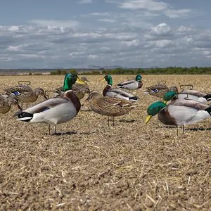 Customized Multiple Style Waterproof Plastic Lifelike Anti-reflective PP Mallard Decoys Duck Silhouette Decoys Hunting Decoys