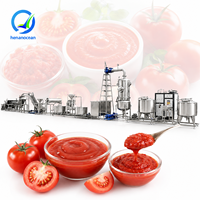 OCEAN Ketchup Productielijn Tomatensaus Verwerkingsinstallatie Kleine Machine voor het maken van blikjes tomatenpuree