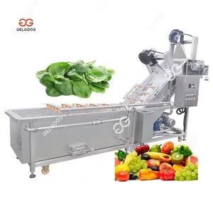 Industriële Fruit-En Groentedruivenwasmachine Bladeren Bietenreinigingsschilapparatuur Sla Spinazie Wasmachine