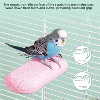 Perchoir pour perroquet, accessoire de cage à oiseaux, en résine, forme de sorbet, station de griffage, pierre à griffer pour le calcium, pour petits animaux mignons