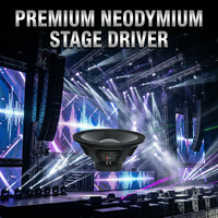 Haut-parleur de graves néodyme 21 pouces 5000W haute puissance pour système audio professionnel de sonorisation de scène