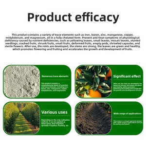 Engrais foliaire en poudre <span class=keywords><strong>Mishi</strong></span>, entièrement hydrosoluble, chélaté B Zn Cu Fe Mn Mo Mg, à libération rapide - Product Image 5