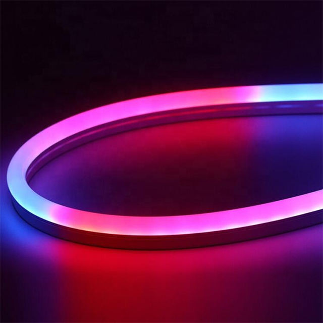 Guangzhou LC LED RGB Neon Strip Light DC Powered IP65 Waterproof for Mall & Companies Decoration