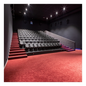 Alfombra de cine comercial de estilo moderno, alfombra insonorizada de espesor de nailon para cine en casa - Product Image 4