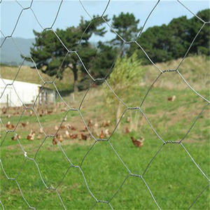 Grillage soudé enduit de PVC polyvalent Poulet rôti Poulet Poulailler Poulet Poulailler 8mm Ouverture Utilisé <span class=keywords><strong>BBQ</strong></span> Grill Service De Coupe Inclus - Product Image 2