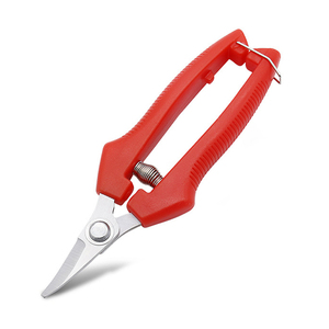 Hongrui vườn Công cụ cắt tỉa lưỡi thép không gỉ <span class=keywords><strong>Scissor</strong></span> pruner với <span class=keywords><strong>PP</strong></span> xử lý Anvil & bỏ qua Ratchet thiết kế cho cây ăn quả - Product Image 1