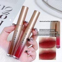 Vente en gros de rouge à lèvres liquide organique hydratant minéral 5g Velours imperméable Mat Brillant pour maquillage Brillant pour le pompage des lèvres