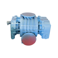 Souffleur à racines industriel en fonte haute pression électrique AC personnalisable OEM pour le traitement des eaux usées