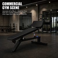 Chaise romaine en métal durable pour la plaque d'entraînement de force chargée 45 banc de sport d'exercice de dos d'extension pour l'usage à la maison de gymnase
