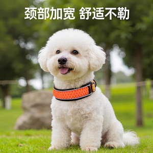 Non-straining <b>dog</b> collar, neck collar, <b>dog</b> <b>leash</b>, medium-sized <b>dog</b> walking <b>leash</b>, pet bite prevention - Product Image 3