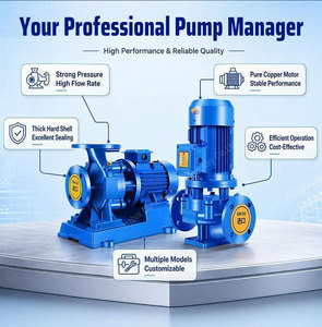 High Head Cast Iron Vertical Pipeline Booster Pump Long Water Delivery Centrifugal Pump - Product Image 4