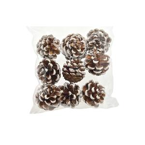 ENSEMBLE DE 9 COGONNES DE PIN ARTIFICIELLES DANS DES COULEURS NATURELLES ET BLANCHEES - Product Image 1