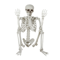 Squelette d'Halloween en plastique de taille humaine de 24 pieds (180 cm, 6 pieds) en gros à vendre