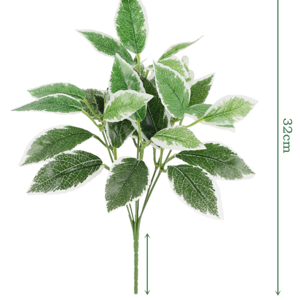 Yal6-120-7 # siete jóvenes hojas de Rosa 2 # color