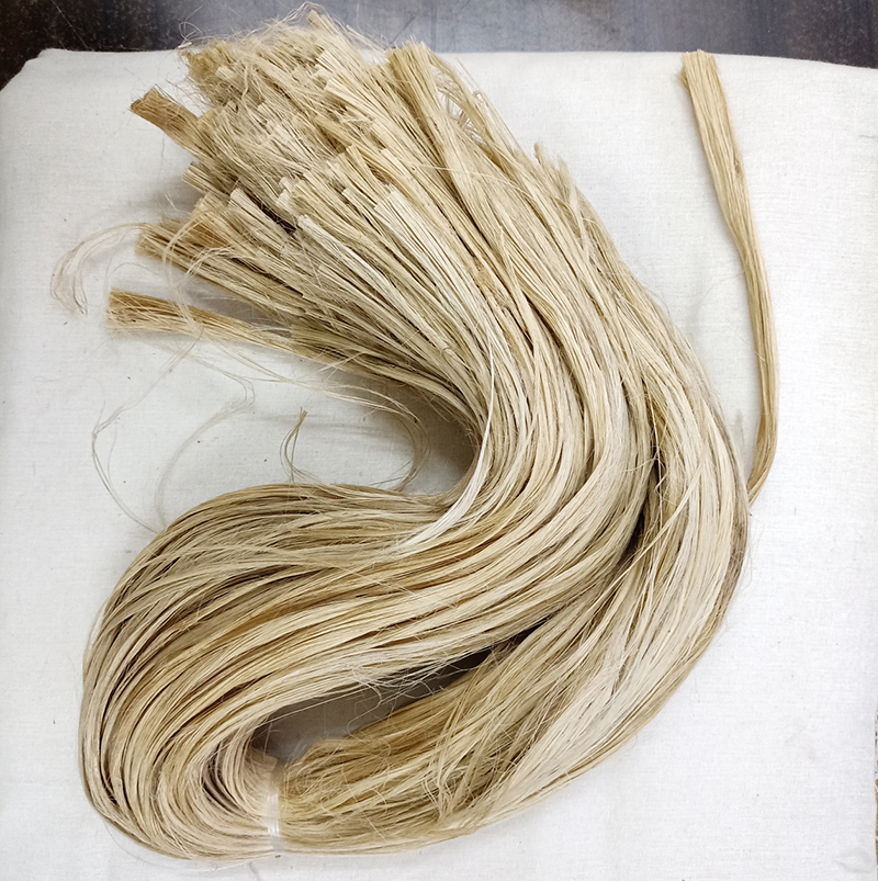 banana fiber extractor