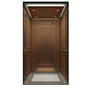 快適で暖かい住宅の実用的な安全ホームエレベーター