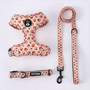 Arnés, Correa y Collar para Perros y Gatos con Diseño Personalizado, Ajustable, Transpirable, con Bandana, Conjunto de Arnés para Mascotas - Product Image 1
