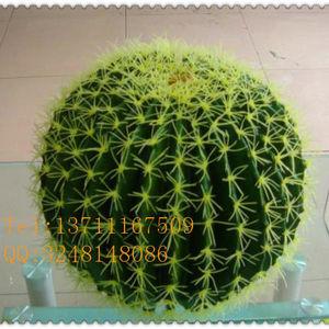 <span class=keywords><strong>Cactus</strong></span> artificiel d'extérieur durable de haute qualité, meilleur <span class=keywords><strong>prix</strong></span> de gros pour <span class=keywords><strong>boule</strong></span> de <span class=keywords><strong>cactus</strong></span> artificielle - Product Image 3