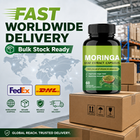 Capsules d'extrait de feuilles de Moringa en gros – Approvisionnement en vrac – Superaliment Moringa Oleifera – Complément de soutien immunitaire pour le bien-être des adultes