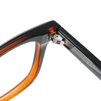 Lunettes de soleil 2026TR en gros, monture transparente à motif ambre, ultra légères, multicolores, monture de lunettes de soleil tendance