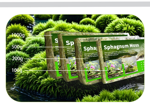 Mousse verte sèche <span class=keywords><strong>pour</strong></span> tortues, terre à base de noix de coco <span class=keywords><strong>pour</strong></span> l'hivernage, conservant l'humidité, <span class=keywords><strong>pour</strong></span> les fournitures d'escalade des animaux de compagnie, orchidée/dendrobium - Product Image 4