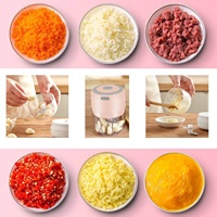 250ML Elektrische Mini Knoflookhakker Roestvrijstalen Voedselverwerker voor Fruit Groenten Vlees Salade Grinder Stamper Snijder