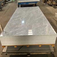 Panneaux muraux modernes en PVC à motif rocheux |   Décoration intérieure pour hôtels et foyers |   Revêtement UV de qualité commerciale pour toutes les saisons