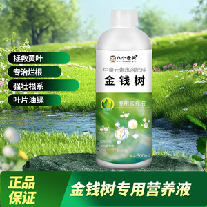 น้ำยาบำรุงพิเศษต้นไม้เงิน บาเกลอตู 300 มล. อาหารพืชชนิดน้ำ - Product Image 3