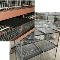 Nouvelle Barquette à Fumier Plate en Plastique pour Cages à Poulets, Blanc Rouge Noir, Utilisation en Élevage Avicole
