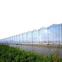 Serre agricole multi-chapelles Nsr de grande taille avec système hydroponique et toiture en polycarbonate