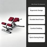 Banc de musculation robuste en acier pour l'extension dorsale, équipement de fitness commercial, machine d'entraînement du bas du dos pour la salle de sport et l'entraînement à domicile