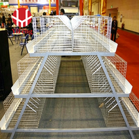 Cage d'élevage de poussins de type A haute densité avec cadre galvanisé durable pour l'équipement d'élevage de poulets de ferme avicole – Fabricant