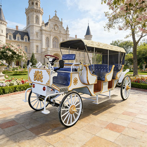 Classic Horse Drawn Sightseeing Carriage Luxury Tour <b>Coach</b> for Resort Park Tour Wedding Parade - Product Image 1