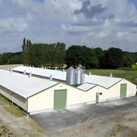 Structure en acier haute résistance, isolée thermiquement, résistante au vent et aux tremblements de terre, poulailler moderne préfabriqué