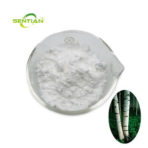 Extrait d'écorce de bouleau de qualité alimentaire Acide bétulinique Ingrédient actif Inuline Poudre blanche en bouteille Tambour Emballage Fabrication Approvisionnement - Product Image 1