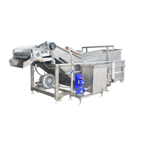 Nieuw product Automatische bubbeltype groentewasmachine Bladgroente Fruit Reinigingsapparatuur