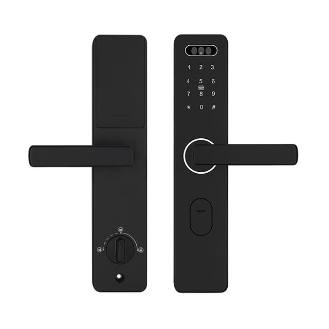 Modern Ttlock Apartment Hotel Smart Door Lock Face Recognition Password Lock