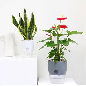 4 Sizes Plastic Self Watering Pots White and Gray Colors for Indoor Home Decoration