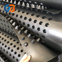 Planche de drainage rainurée en HDPE avec fonction de drainage efficace, adaptée aux projets de construction et de aménagement paysager