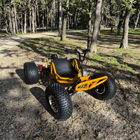 Go Kart de Gasolina de 212cc en Oferta, Motor de 4 Tiempos, Buggy de Carreras con Chasis Reforzado para Diversión al Aire Libre para Adolescentes y Adultos