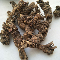 Xie cao gen toptan kurutulmuş valeriana officinalis kök valerian kökleri